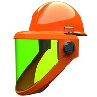 Electrical Safety Face Shield