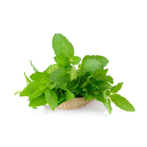 Biotin 0.25 Percent Extract Powder
