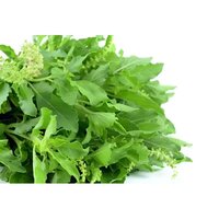 Biotin 0.25 Percent Extract Powder
