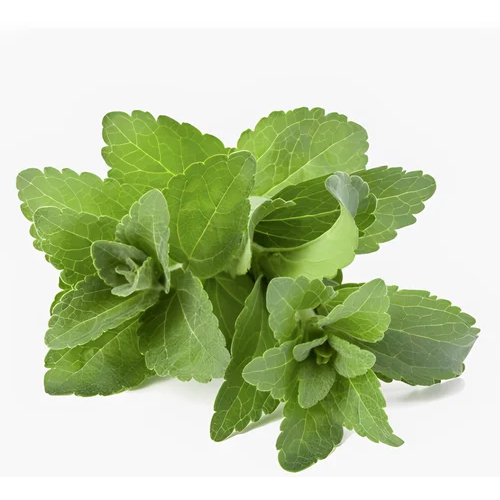 95 Percent Stevia Extract Powder