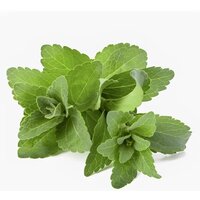 95 Percent Stevia Extract Powder