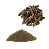 Pippali Extract Powder