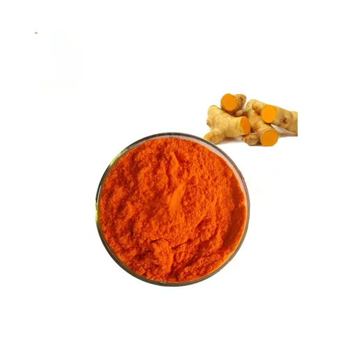 Curcuma Longa L.