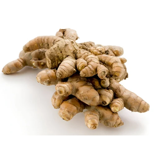 Turmeric Oleoresin Oil