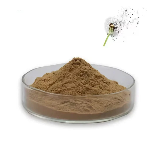 Dandelion Taraxacum Extract Powder - Grade: Industrial Grade