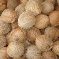 Fully Husk Coconut