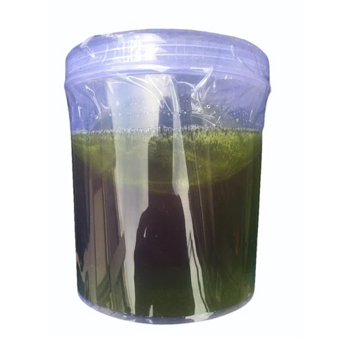 Green Wax - Application: Hair