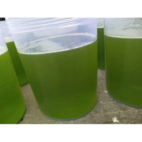 Small Apple Wax - Application: Hair