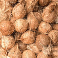 Semi Husk Coconut