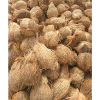 Semi Husk Coconut