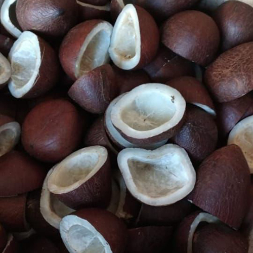 Dry Cutting Coconut