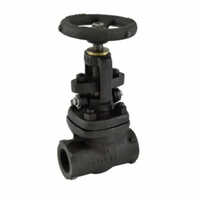 Class 150 CS Gate Valves