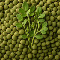 Green Lentils