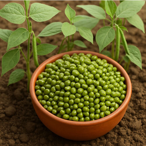 whole Moong