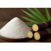 White Sugar