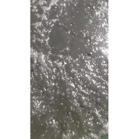 Industrial Waste Water Treatment Plant