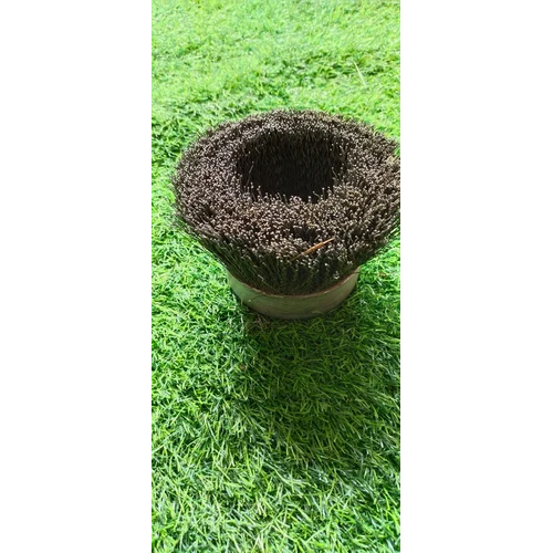 Wire Cup Brush
