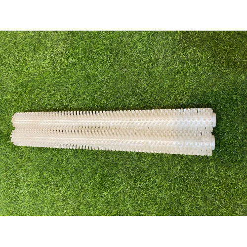 Karnavati White Brush Segment
