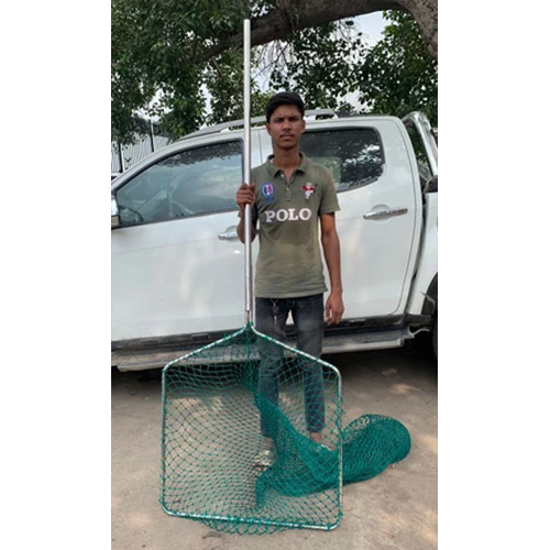 Dog Catcher Net - Color: Green
