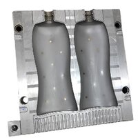 Plastic Bottle Blow Mould