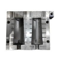 Plastic Bottle Blow Mould