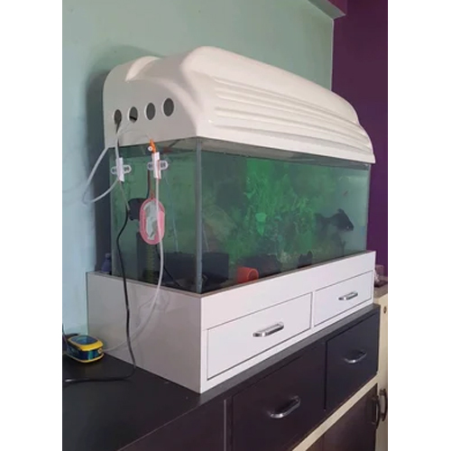 Aquarium Accessories