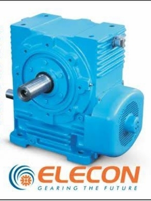 Elecon Worm Gearbox