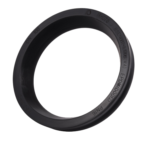 Rubber Gasket
