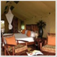 Luxury Wooden Tent
