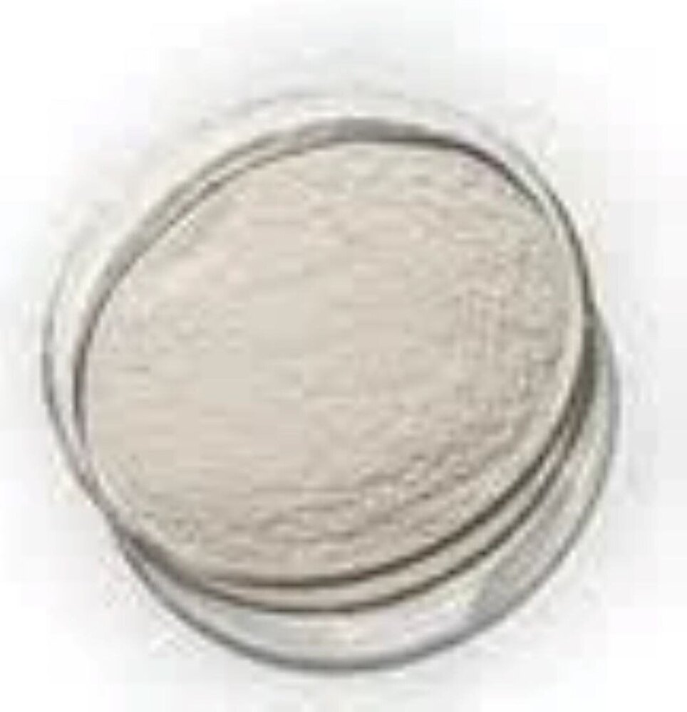 Starch Processing Enzymes