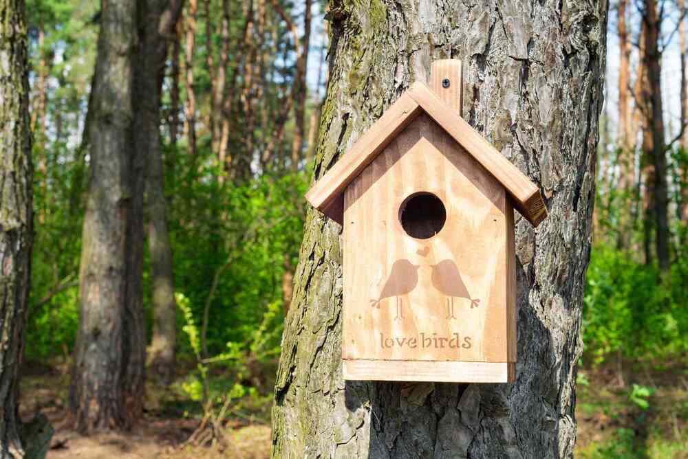 Bird House - Color: Brown