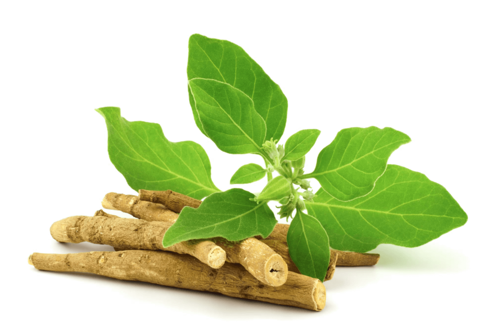 Sunchan Group 100% Natural Ashwagandha Powder Herbal - Withania Somnifera