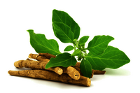 Sunchan Group 100% Natural Ashwagandha Powder Herbal - Withania Somnifera