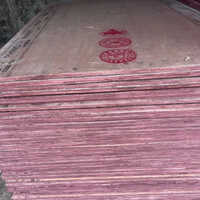 16mm Rhino Plywood