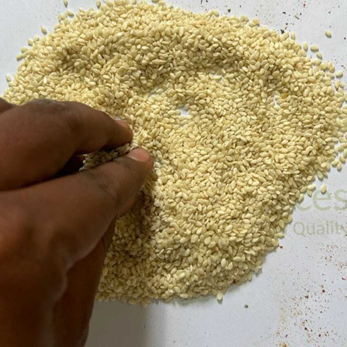 Seesam Seeds