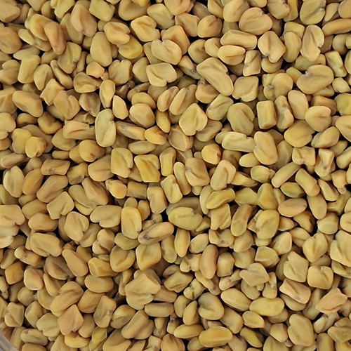 Fenugreek Seeds