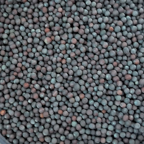 Black Mustered Seed