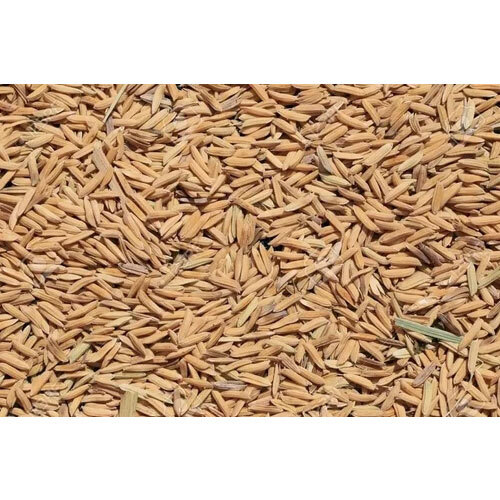 Automatic Raw Rice Color Sorter Machine - Capacity: 8 T/hr