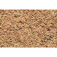Automatic Raw Rice Color Sorter Machine