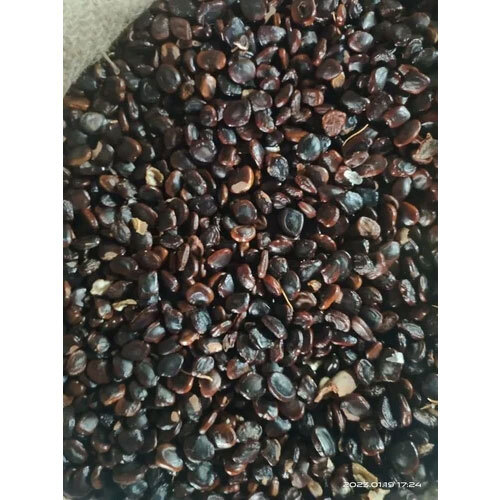 Automatic Tamarind Seed Color Sorter Machine
