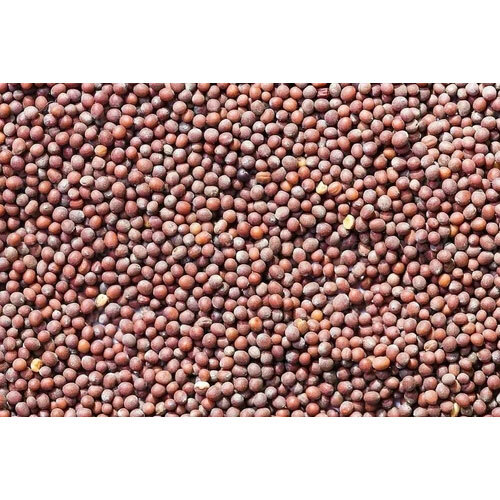 Automatic Mustard Seed Color Sorter Machine - Capacity: 150 Kg/hr