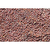 Automatic Mustard Seed Color Sorter Machine