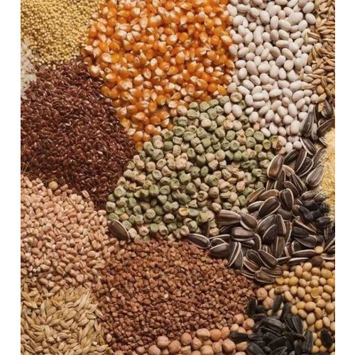 Multigrains Color Sorter Machine - Capacity: 1 T/hr