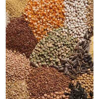 Multigrains Color Sorter Machine