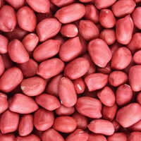 Peanut Color Sorter Machine
