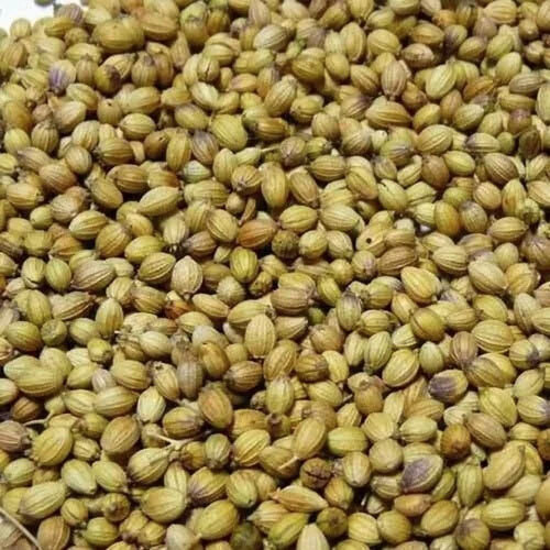 Automatic Coriander Color Sorter Machine