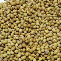 Automatic Coriander Color Sorter Machine