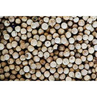 Automatic White Pepper Color Sorter Machine