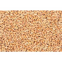 Automatic Wheat Color Sorter Machine