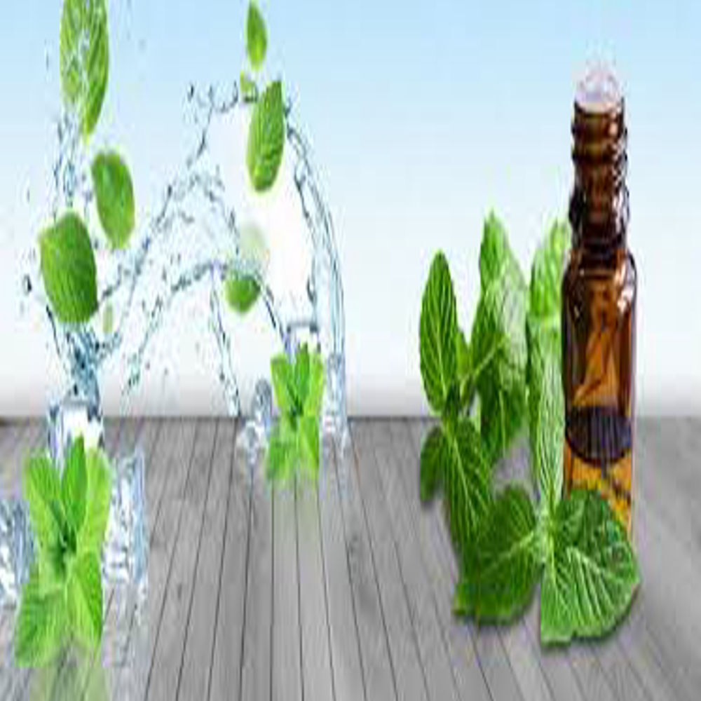 Spearmint Oil - Age Group: All Age Group